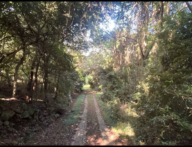 FARM FOR SALE IN BANNERS REST